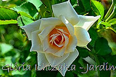 23 - Glória Ishizaka - Rosas do Jardim Botânico Nagai - Osaka