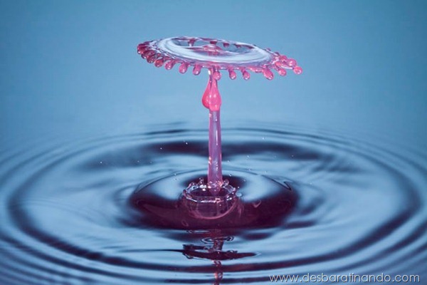 liquid-drop-art-gotas-caindo-foto-velocidade-hora-certa-desbaratinando (27)