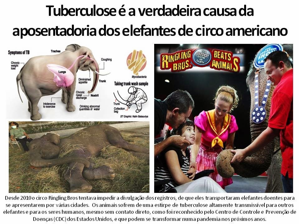 [Slide2%255B3%255D.jpg]