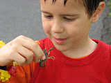 IMG_7433.JPG