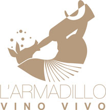 ArmadilloVVLogopiccolo.jpg ArmadilloVVLogopiccolo