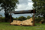 Clara Bench by Jorn Ronnau