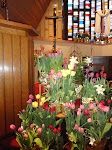 DSC03031.JPG