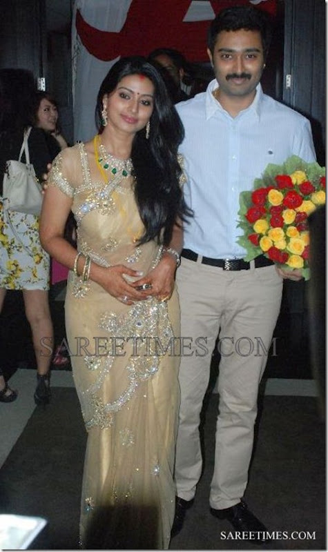 Sneha_Embroidery_Shimmer_Saree (1)