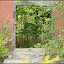  &ndash; Der Wald im Haus