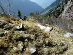 P1000710.JPG
