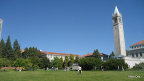 IMG_3732.jpg