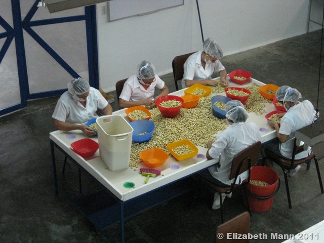 [IMG_8574%255B5%255D.jpg]