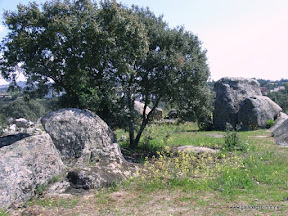rio-guadarrama-parque-regional (21).JPG