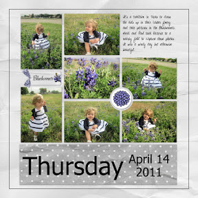 picasa image