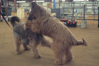 DSCF3247.JPG