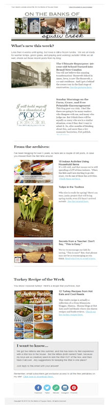 Email Newsletter Email Newsletter