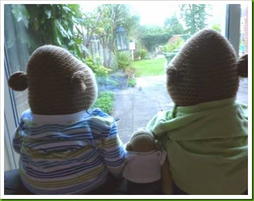 squirrel watch squirrel watch