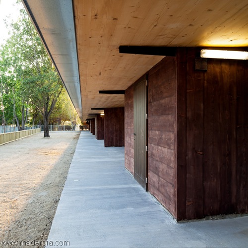 escuela-panel-contralaminado-madera (14)