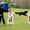 DSC00811.JPG