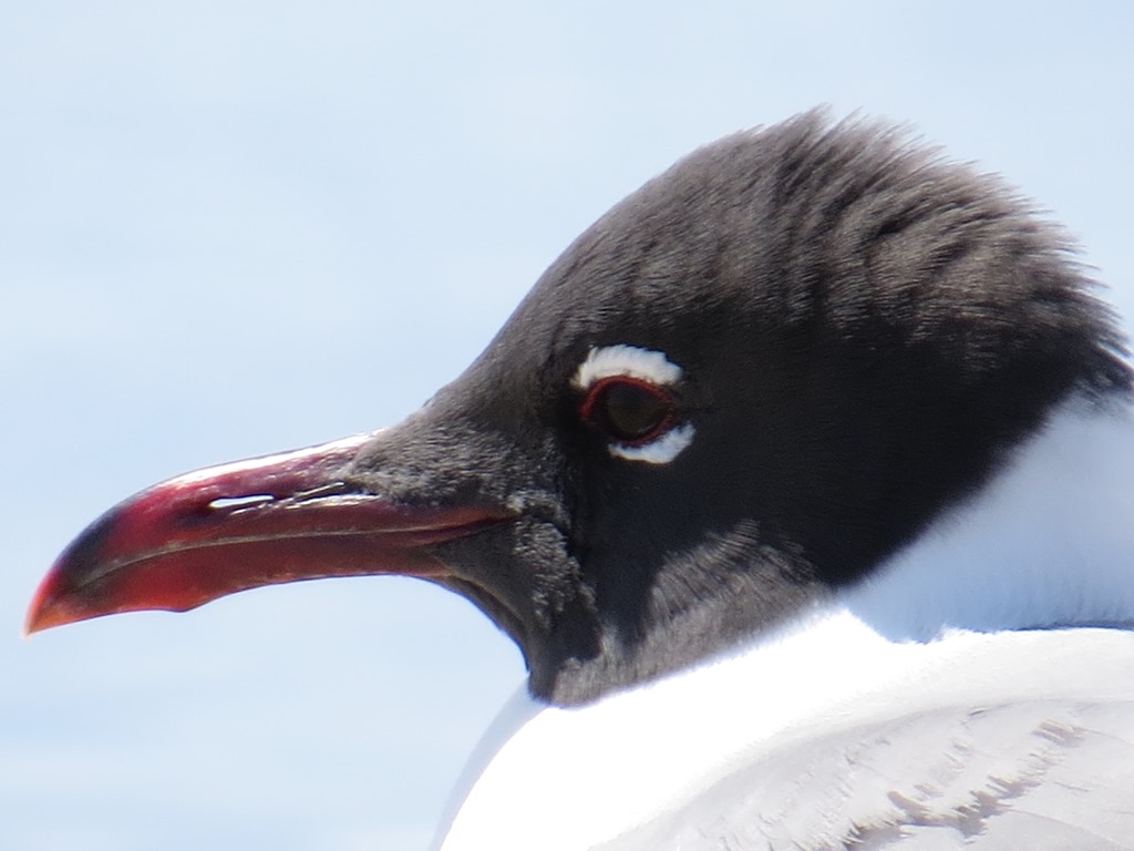 [IMG_0073%255B4%255D.jpg]