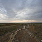IMG_4007.jpg