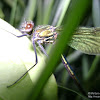 dsc03434.jpg