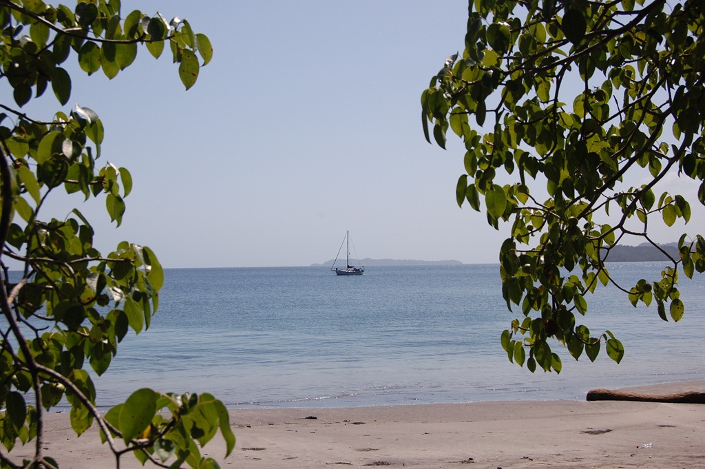 [DSC_49163.jpg]