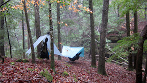 IMG_2791.JPG