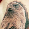 Eagle #7