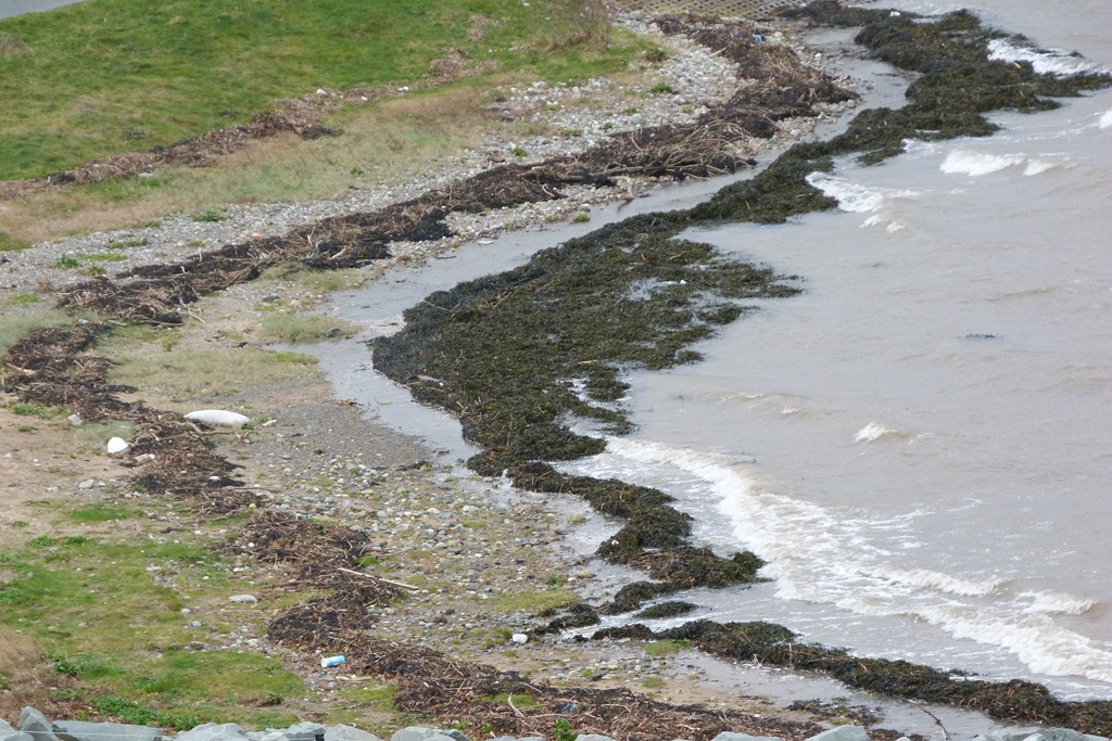 [Estuary%2520030%255B5%255D.jpg]
