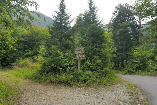 林道分岐