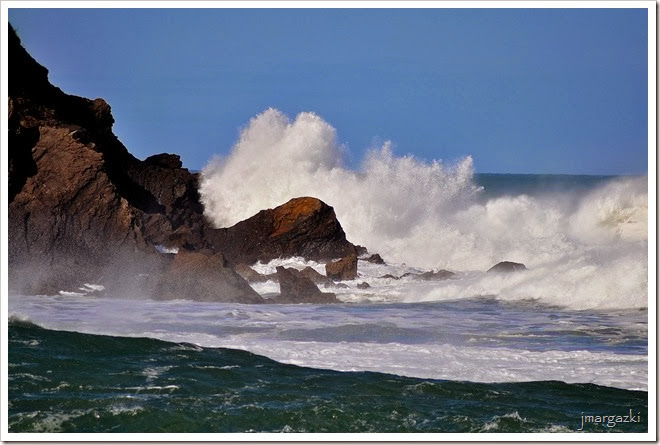 DSC_1492 DSC_1492