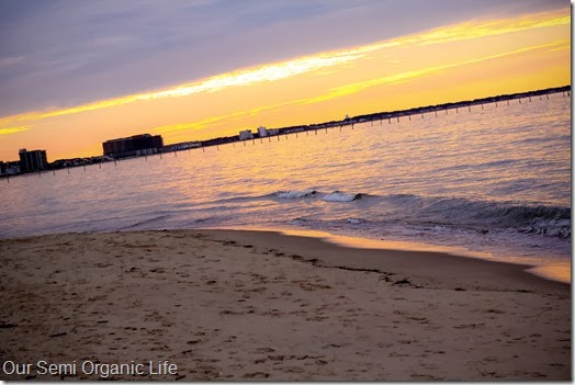 beach 1 beach 1