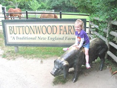 Buttonwood park 7.25.2013 Bellz on the pig2