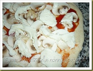 Pizza semintegrale di farro ai funghi (4)