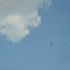 DSC_0244.JPG
