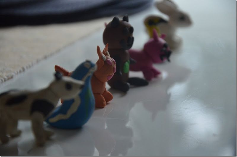 DSC_5900 DSC_5900