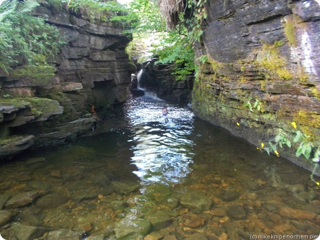 DSCN1819 DSCN1819