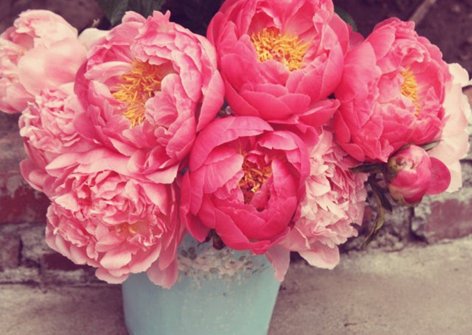 peony