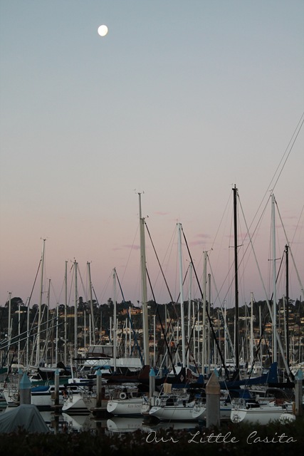 [SanDiego2012%2520108%255B9%255D.jpg]