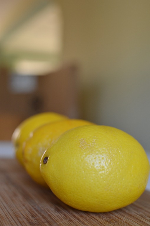 [lemons%2520%2520amy%2520renea%2520a%2520anestforallseasons.jpg]