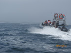 IMG_1405.JPG