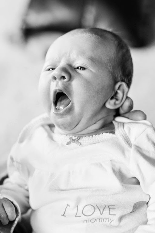 [IMG_8856%255B3%255D.jpg]