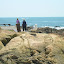 DSCN5737.JPG