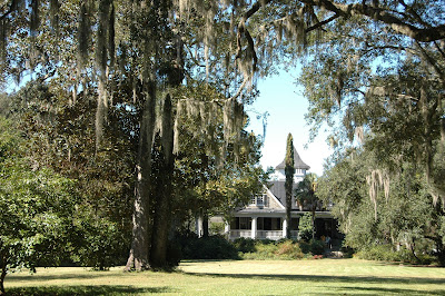 Magnolia Plantation, near Charleston, SC