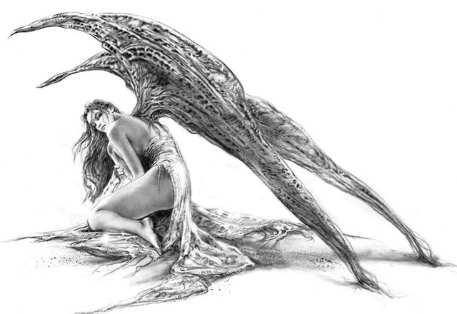 [angel_fairy_tattoo_designs_4%255B4%255D.jpg]