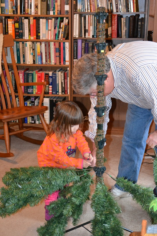 [December%252013%25202011%2520Tree%2520005%255B4%255D.jpg]