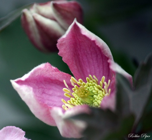 [IMG_4543%255B3%255D.jpg]
