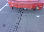 IMG00126-20091203-1451.jpg