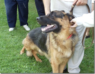 russian orthodox monks german shepherds