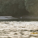 IMG_6470.JPG