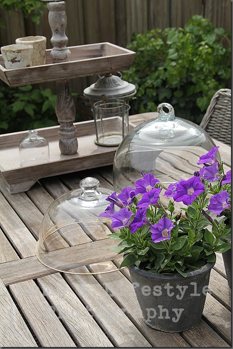 Home & Lifestyle Home & Lifestyle