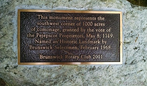12. Brunswick town commons marker