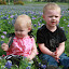 Bluebonnets